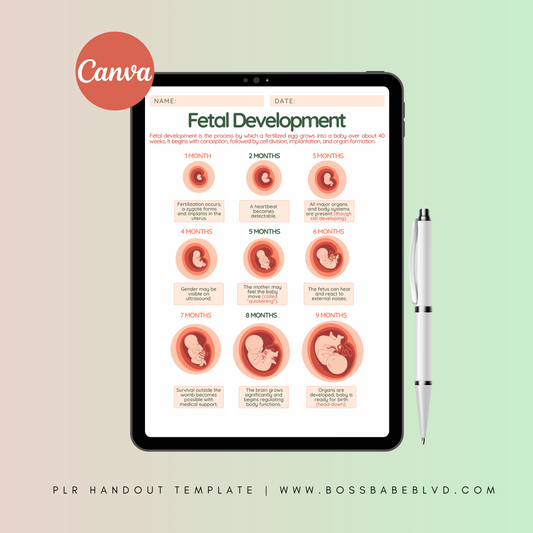 PLR: Fetal Development Handout