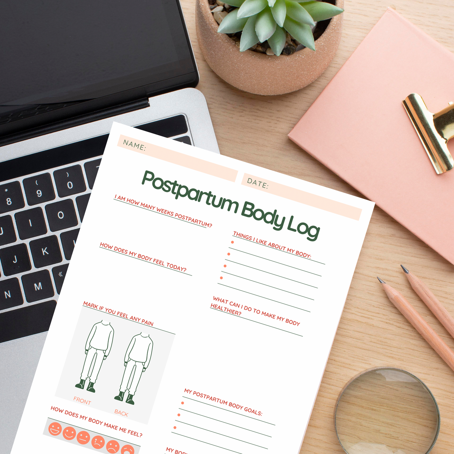 PLR: Postpartum Body Log