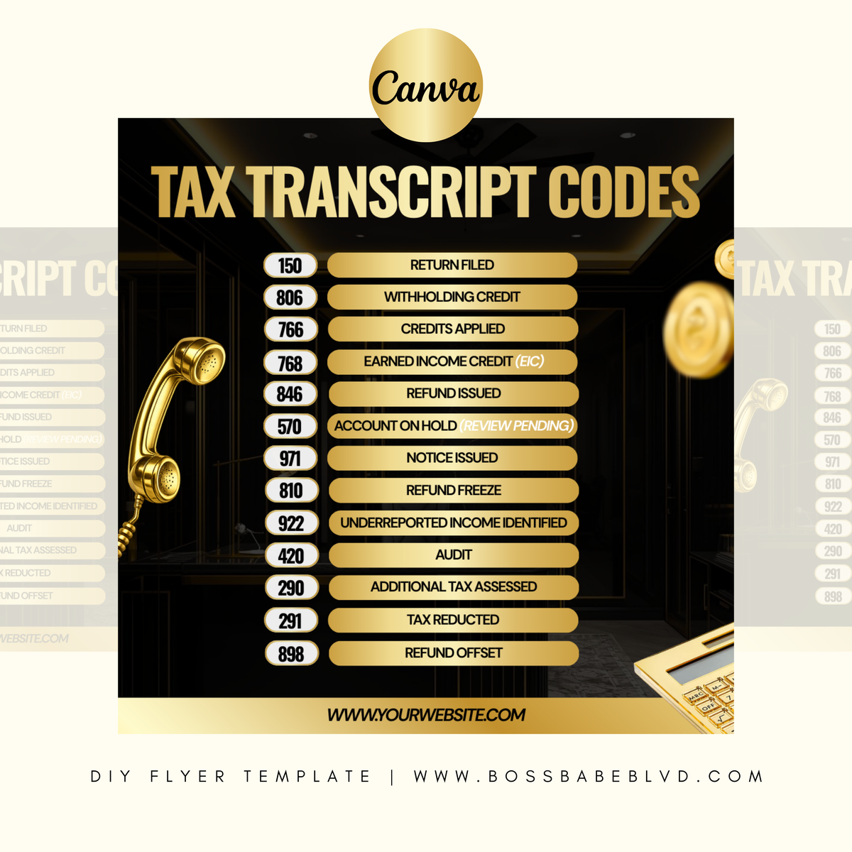 IRS Tax Transcript Codes DIY Flyer Template